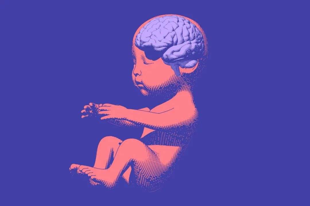 Parents Can Choose Genetic Makeup of Their