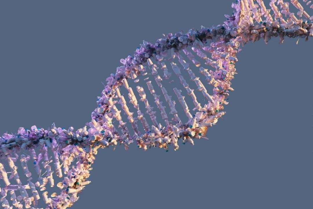 DNA molecule. Polygenic tests can reveal your future risk of many diseases