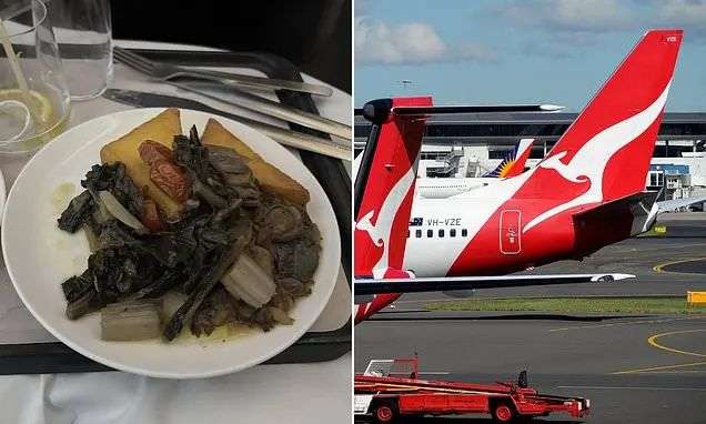 Qantas passenger lashes out at business class meal claiming it's a 'joke' - but not everyone agrees | Daily Mail Online