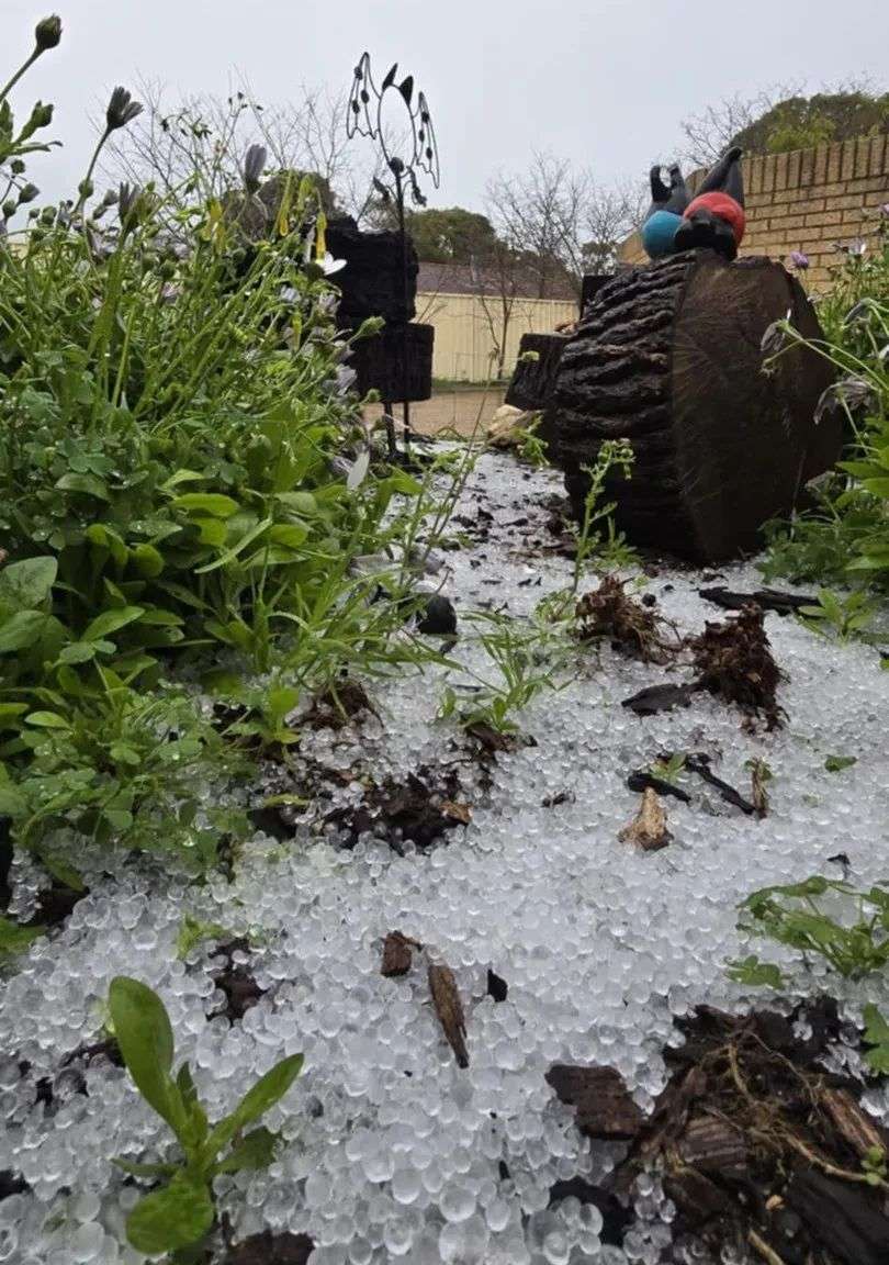 阿曼达·特韦德尔 (Amanda Tweddle) 于上午 8 点 15 分在帕尔米拉拍摄了这些冰雹照片。