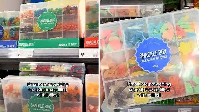 Kmart sends shoppers running over new $9 'lazy' item: 'OMG I need this' | Daily Mail Online