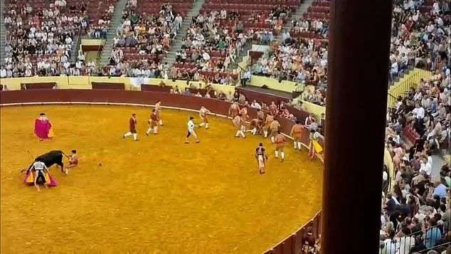 The animal was finally subdued by a bullfighter pulling its tail and others holding up bright capes in its eyeline