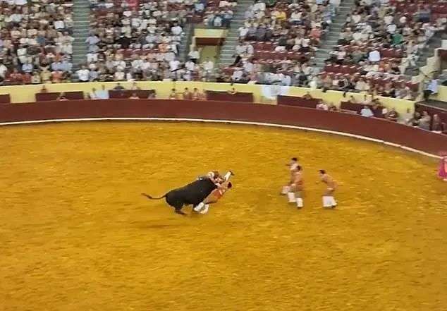 Paramedics rushed to treat Trindade in the ring but the injuries to his head were severe