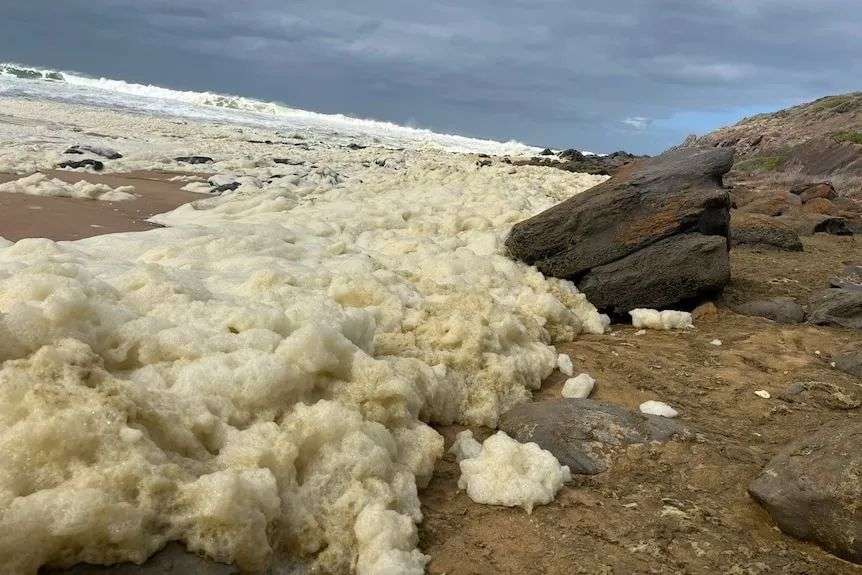 an abundance of foam on the water's edge at a beach collecting around rocks on the shoreline