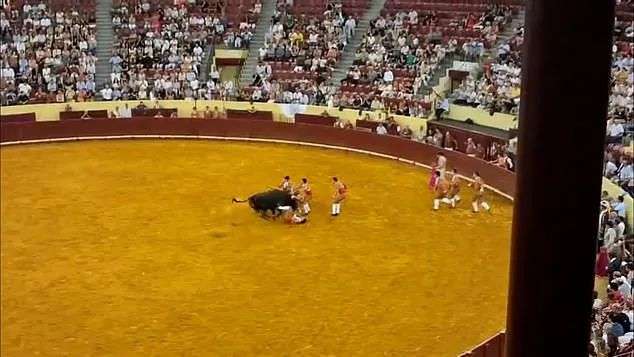But in a matter of seconds Trindade was hoisted up into the air by the storming bull and thrown against the wall of the arena