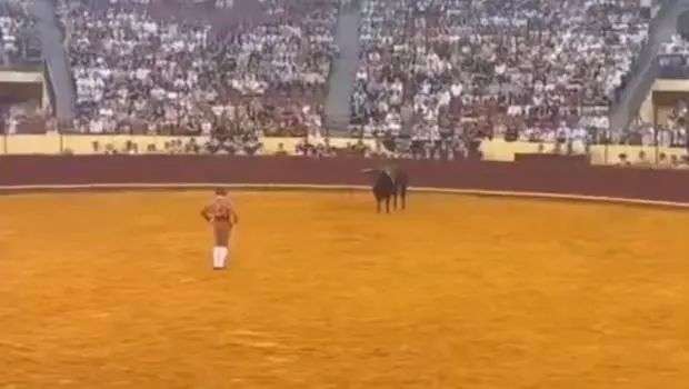 Portuguese bullfighter killed in debut performance by 680kg bull | Stuff