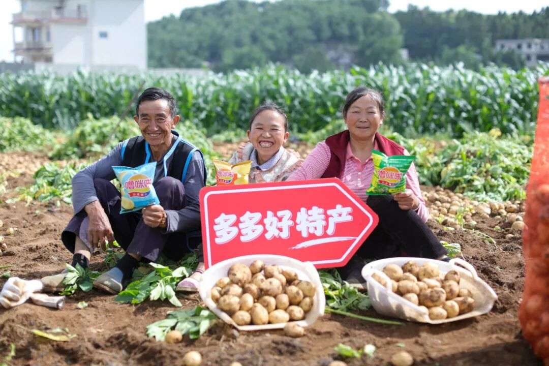 ▲在云南昭通，当地土豆加工的网红薯片让农户丰产增收。（闵杉 摄）.jpg