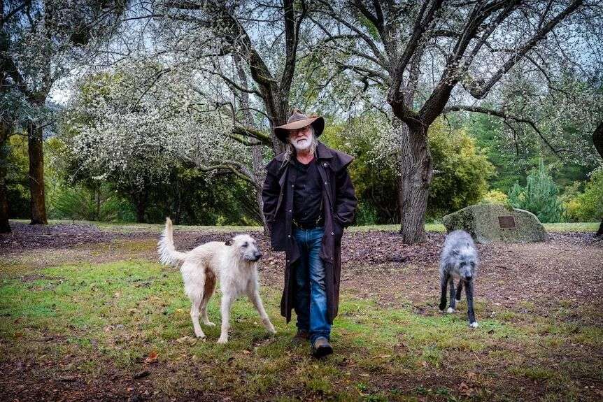 一名男子站在树前的草地上,左边是一只白狗,右边是一只灰狗