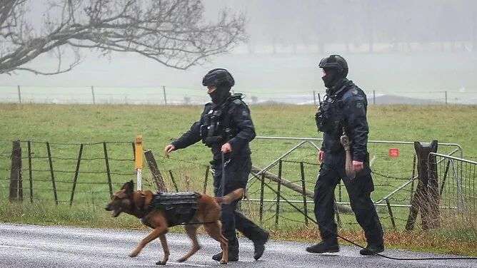 搜救犬和直升机已被派往现场协助搜救。图片:David Caird /NewsWire