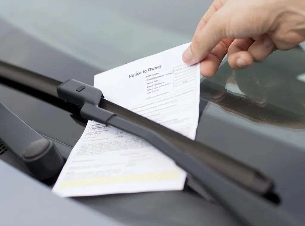 在澳洲,这些事千万别干!最高恐被罚款$10000,很多人都不知道(组图) - 4