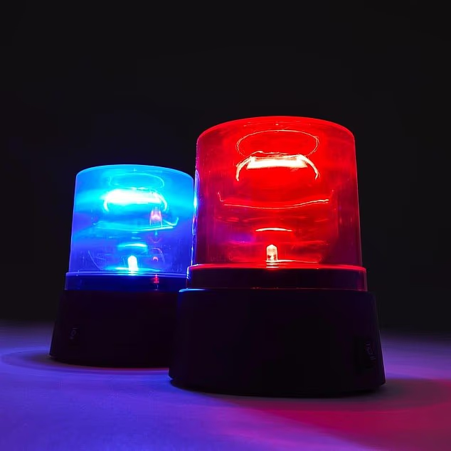 Kmart竟然卖“警灯”?仅售$10!网友炸锅:这合法吗?(组图) - 3