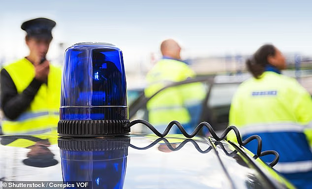 Kmart竟然卖“警灯”?仅售$10!网友炸锅:这合法吗?(组图) - 4