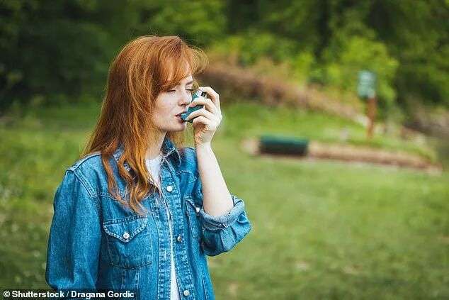 Aussies are being urged to be on high alert this season, amid fears that a rare and deadly weather-related medical phenomenon could strike again (stock image)