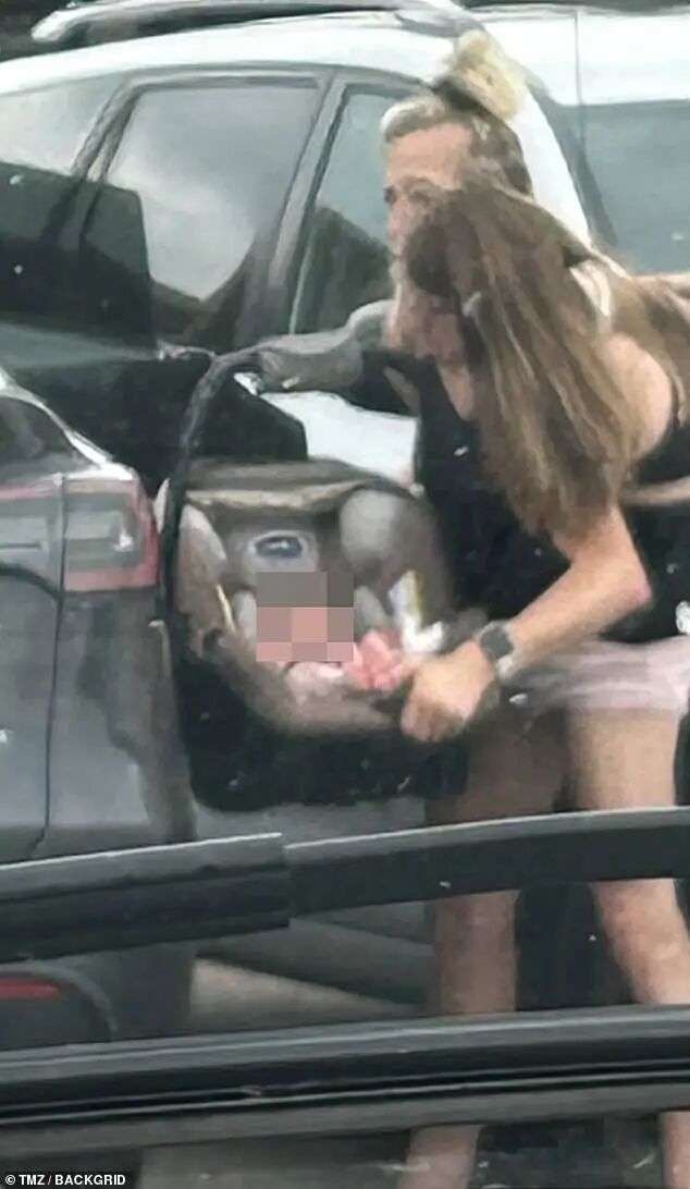 Last month, Abby and Brittany Hensel, 35, from Minnesota, were photographed carrying a little one in a car seat and placing the baby into the back of a black Tesla (pictured)