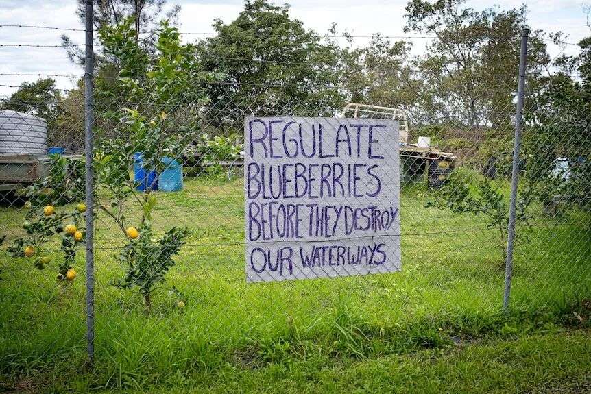 A sign on a chainlink fence says 'regulate blueberries before they destroy out waterways'