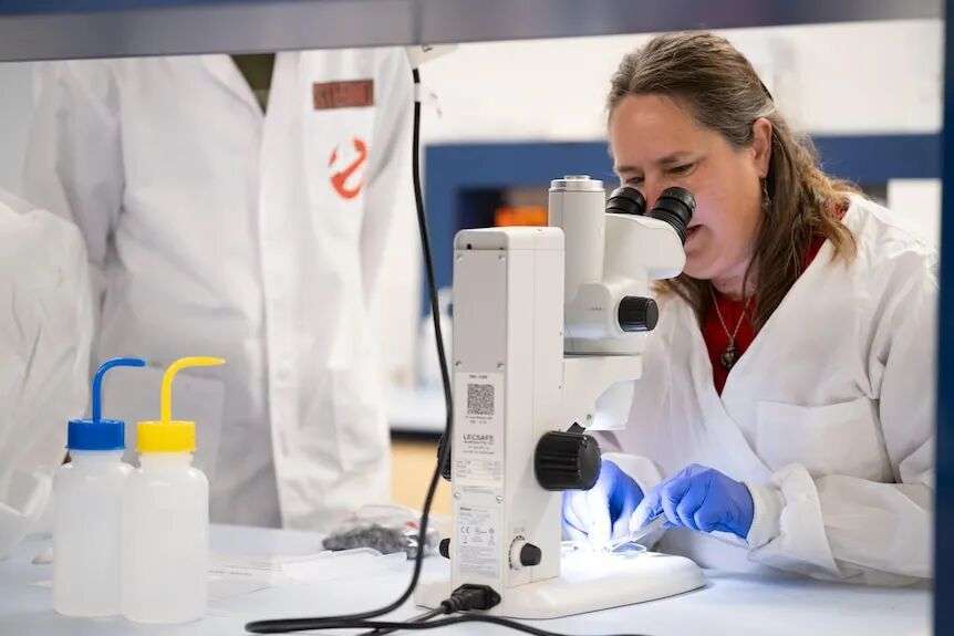 Kirsten sits in a lab looking into a microscope wearing a white lab jacket.