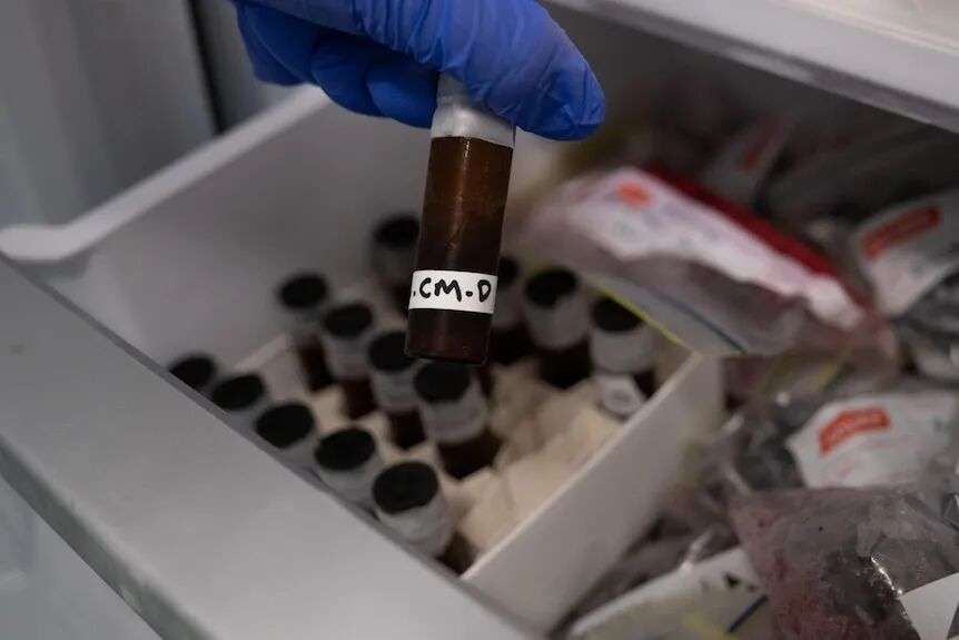 A blue-gloved hand holds a small vial over other samples in tubes and plastic bags.