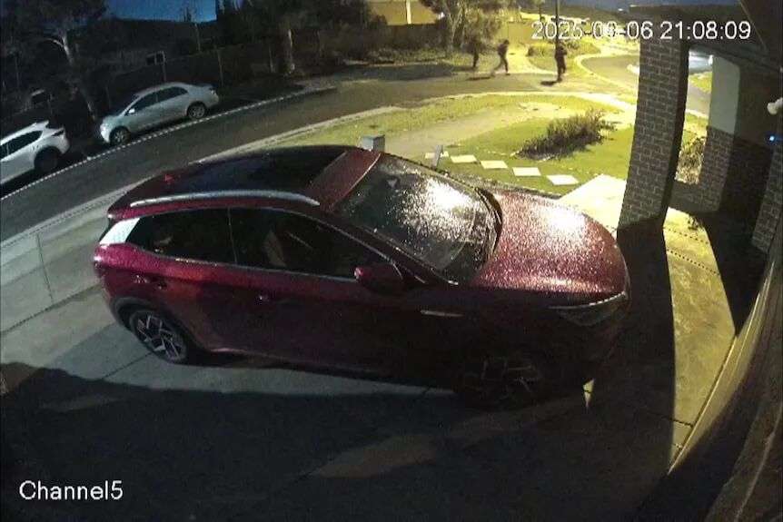 闭路电视录像屏幕截图