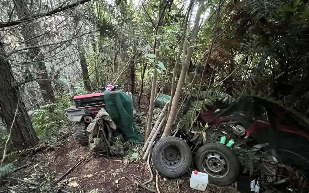 The campsite where Phillips and children were hiding.