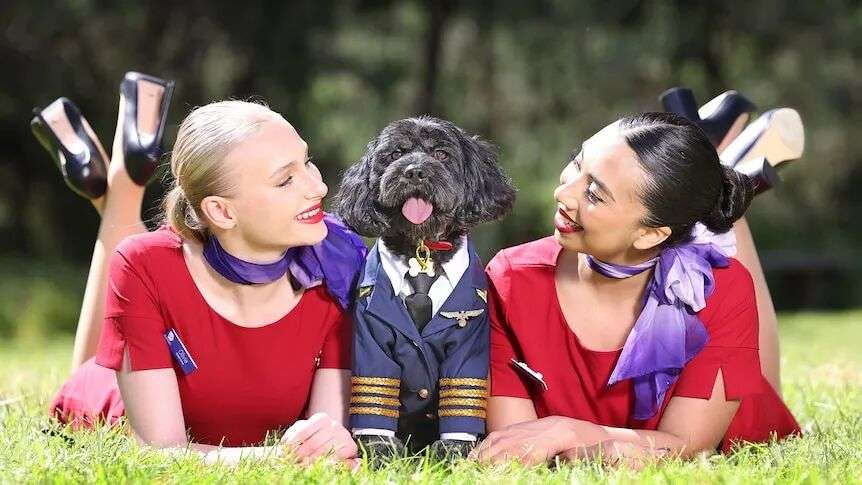 Two air hostess lie next to a dog wearing a pilot costume.