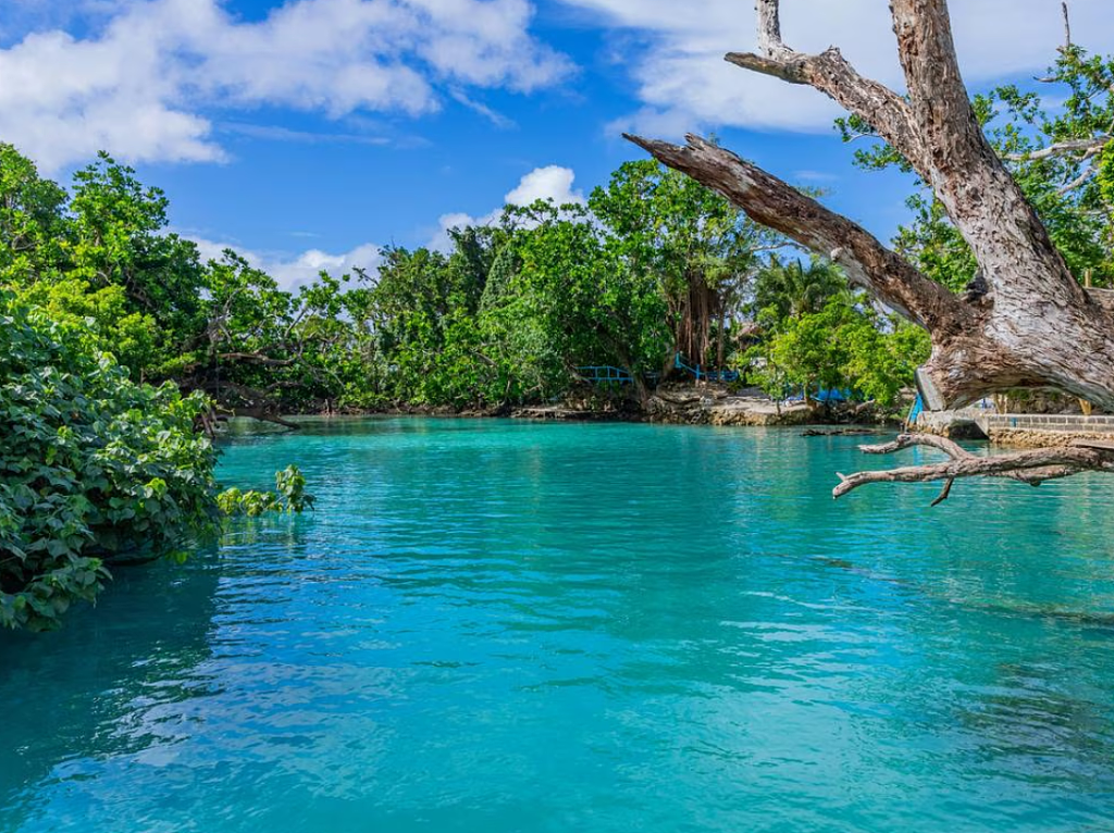 澳航掀起新一轮大促!机票价格低至$99,速冲(组图) - 3