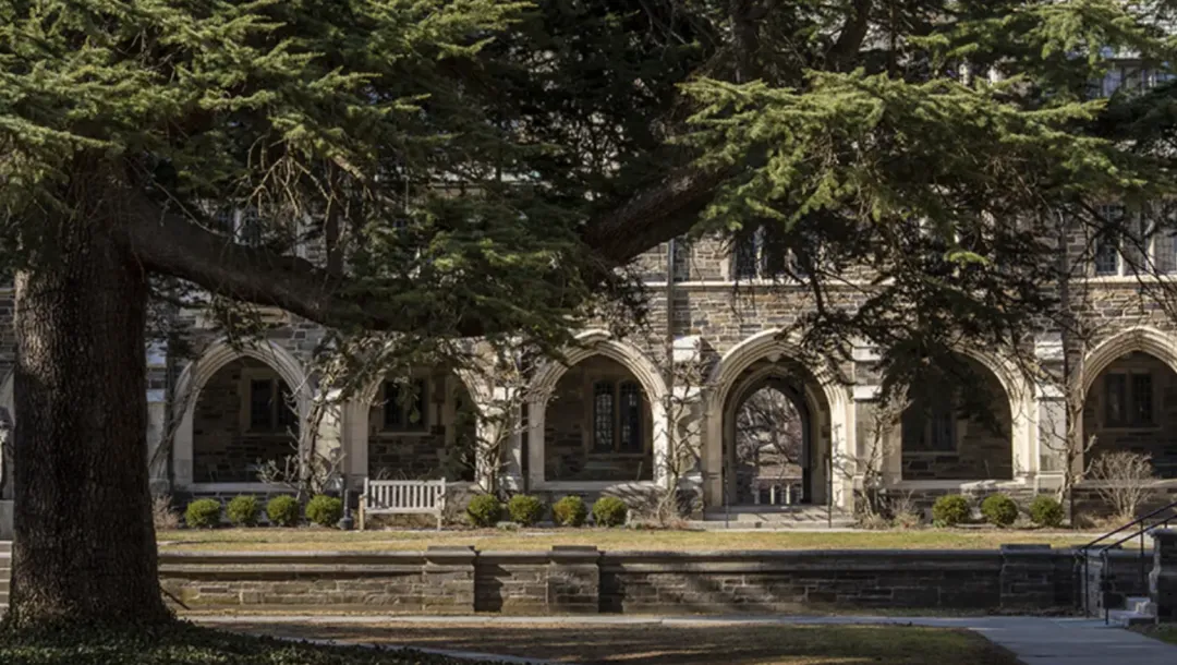 图源网络 版权属于原作者