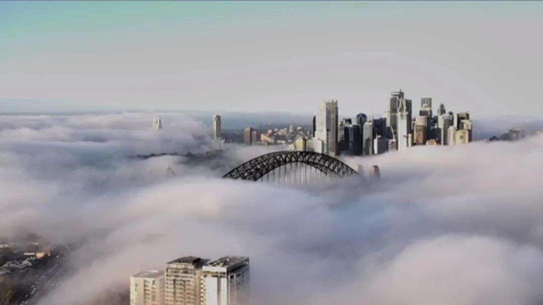 Thick blanket of fog shrouds Sydney