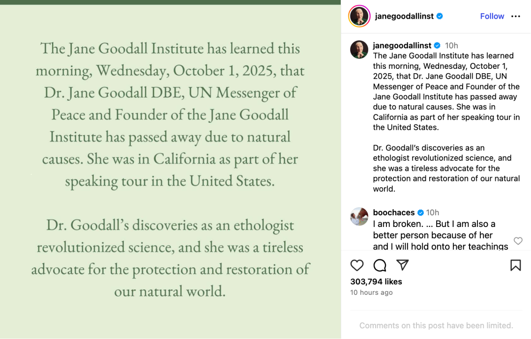 图片来源:珍·古道尔研究所Instagram主页