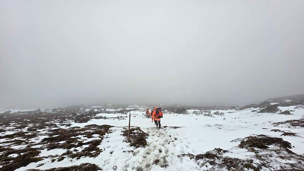 悲剧！中国游客在澳徒步时遇险，1人不幸遇难，3人获救！领馆发文提醒（组图） - 3