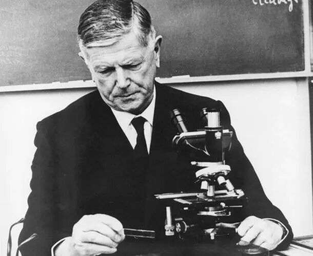 WEHI History: 1944 Sir Frank Macfarlane Burnet Becomes Director | WEHI