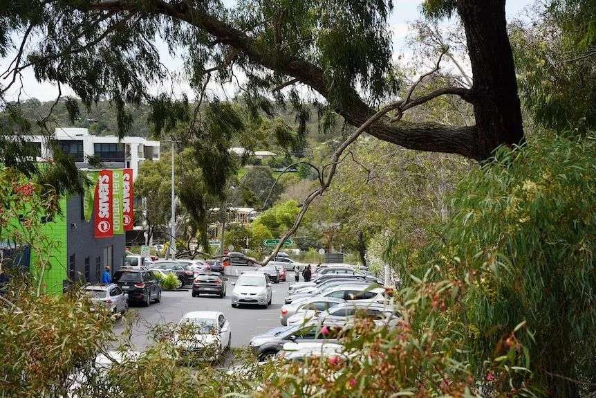 a view looking through trees into a carpark