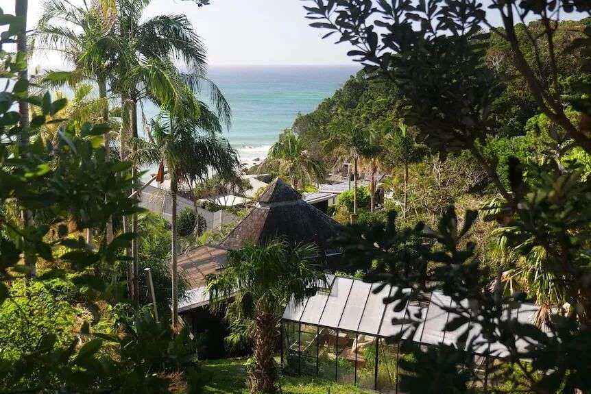 Trees frame a lookout vantage point over the tops of houses and rooves towards a blue-green ocean.
