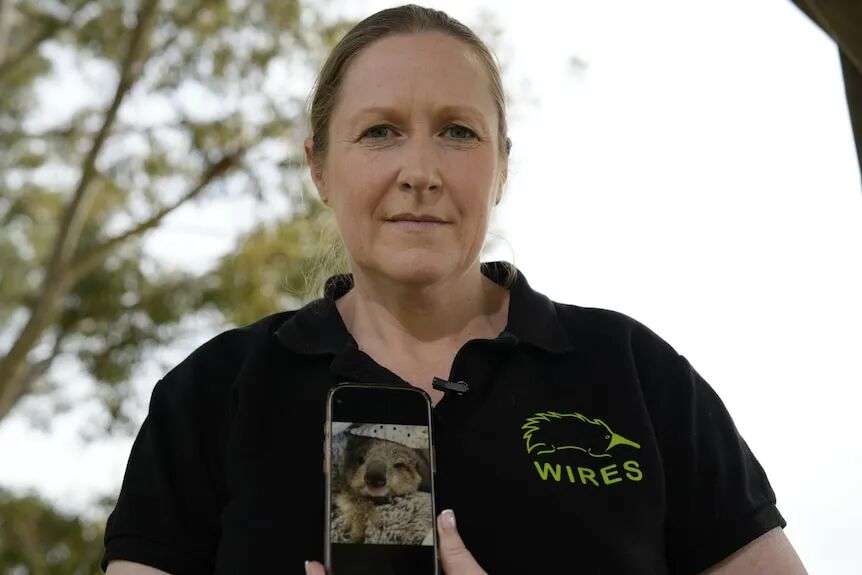 A woman wearing a black WIRES shirt while holding a phone with a photo of a koala