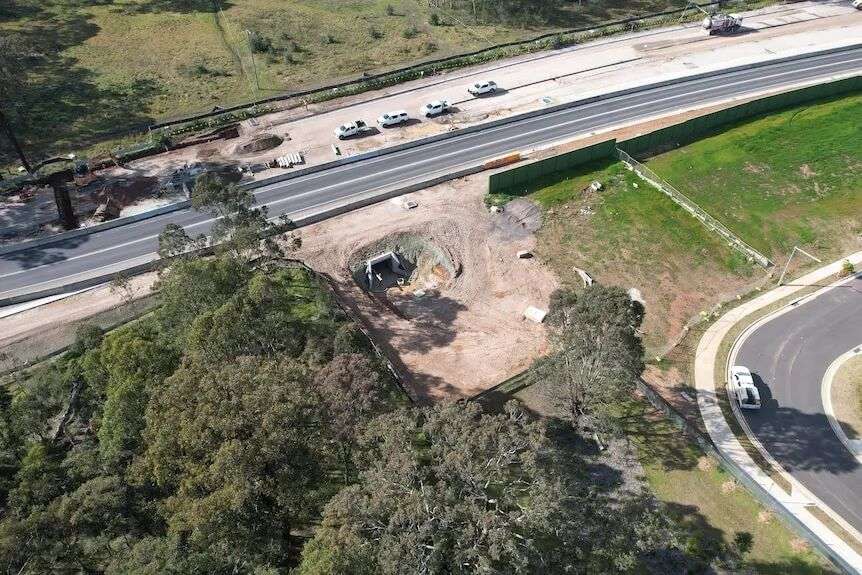 An overhead view of the koala underpass at Appin Road