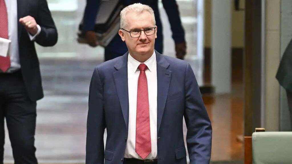 Immigration Minister Tony Burke said the government had restored ‘integrity’ to Australian immigration program. Picture: NewsWire / Martin Ollman