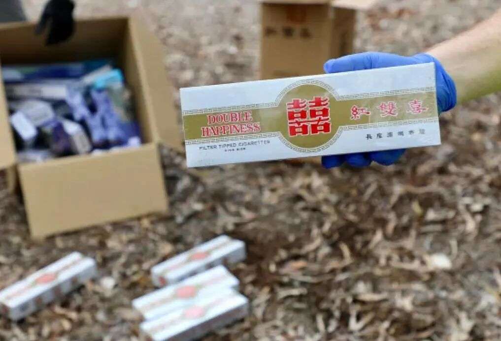 澳洲黑烟年销量超50亿支!红双喜成黑市宠儿,年轻人吸烟率激增(组图) - 1