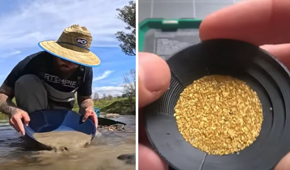 “简直是白捡的钱！” 澳男小溪淘金，3小时赚$1000（组图） - 2