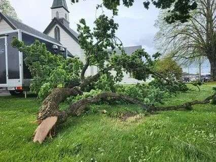A tree downed outside&nbsp;St Mark's Church in Carterton.