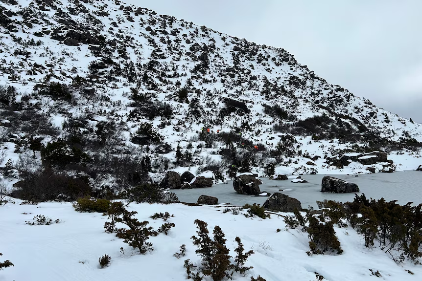 微信图片_20251019140843_3338_10.png,0