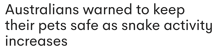 澳洲蛇类活动进入高峰期,捕蛇专家警告居民谨防人宠遇袭(组图) - 1