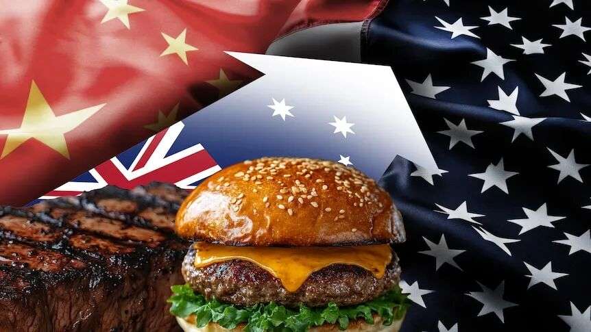 A cheeseburger against a graphic of national flags.