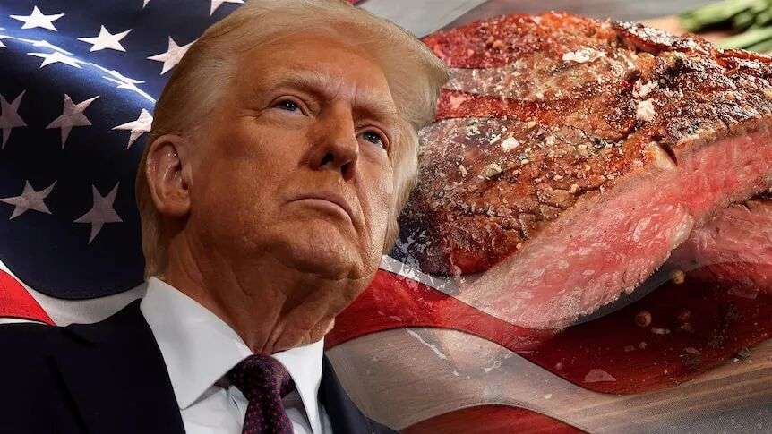 A composite photo featuring US president Donald Trump and a cooked piece of steak.