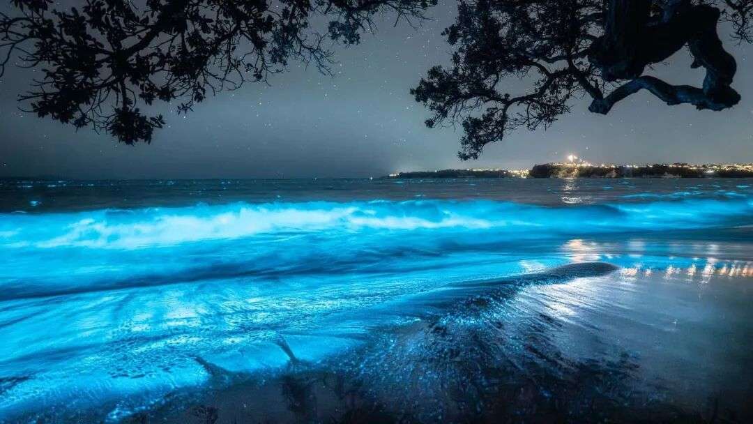 Photo / Matthew Davison