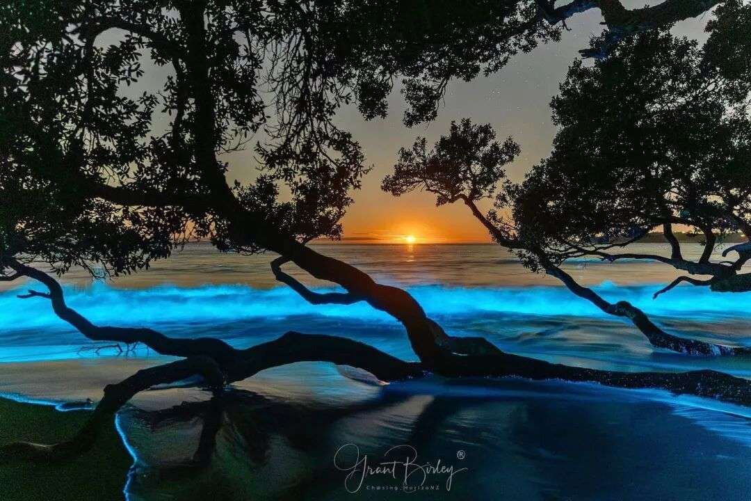 Auckland photographer Grant Birley captured a stunning bioluminescence display at Stanmore Bay on November 7, 2025. Photo / Grant Birley