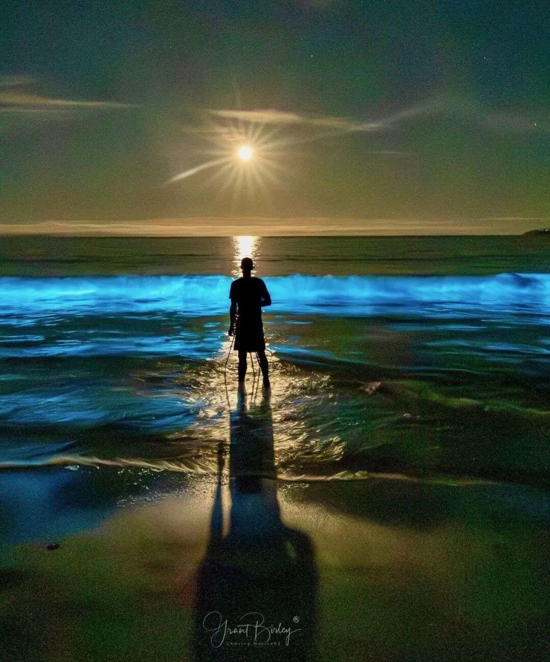 Auckland photographer Grant Birley captured a stunning bioluminescence display at Stanmore Bay on November 7, 2025. Photo / Grant Birley