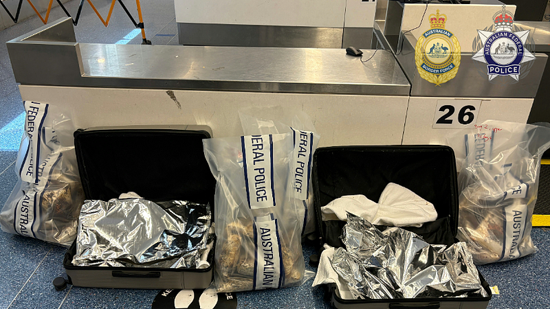 女子入境澳洲,在机场当场被扣!行李箱中查获大批违禁品,价值$3600万(组图) - 2