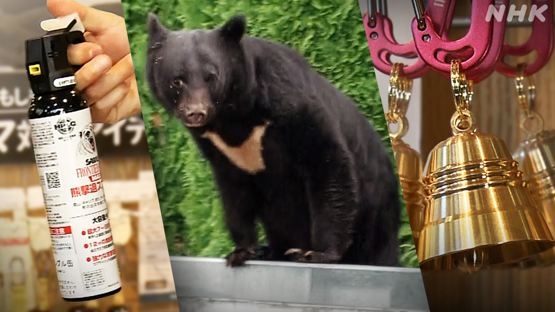 它们记住了人类的味道！”日本熊灾恐怖升级马上失控？专家都惊呼前所未见