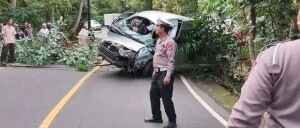 巴厘岛发生交通事故，致中国游客5人遇难、8人受伤