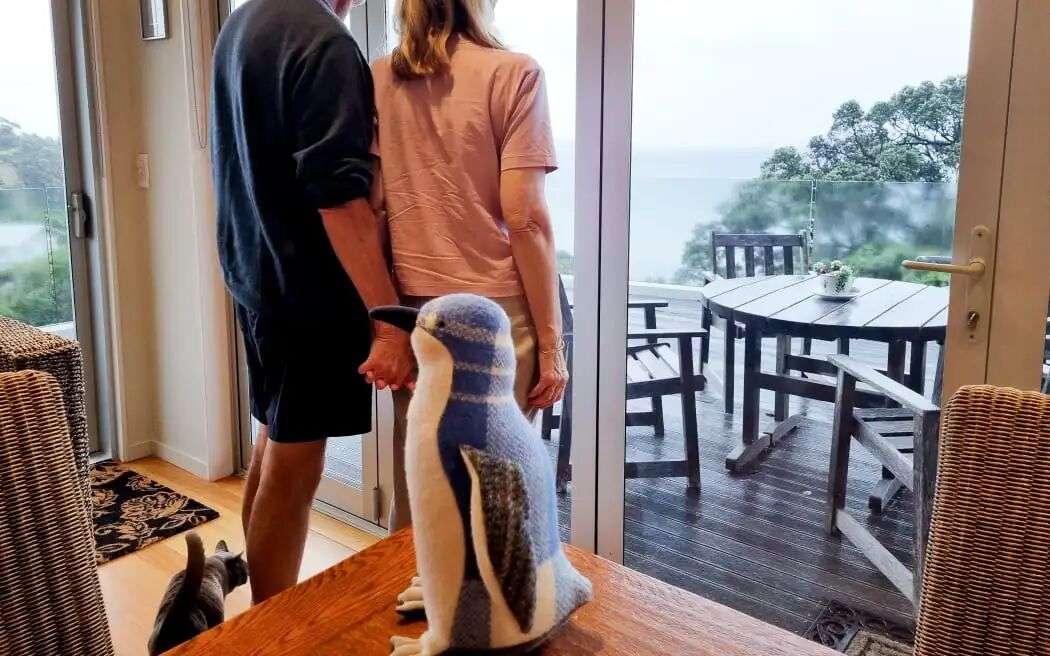 Tracey and Peter Kendall are at their wits end after little blue penguins have moved in under the floorboards in their bedroom