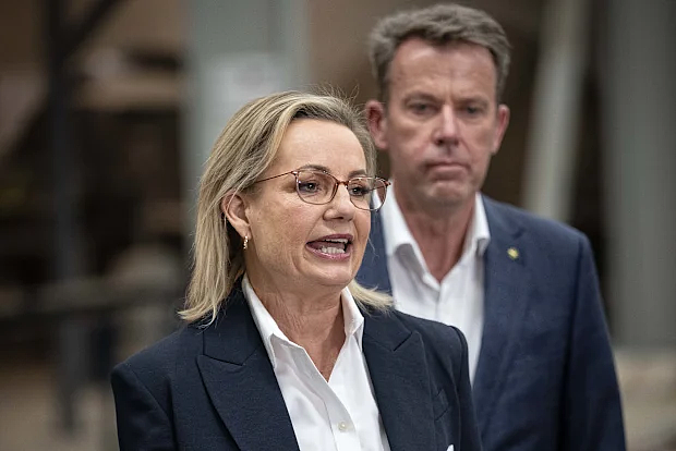 澳洲移民政策要收紧？联盟党或提议每年削减至少10万人！留学生恐成主要削减对象（组图） - 2